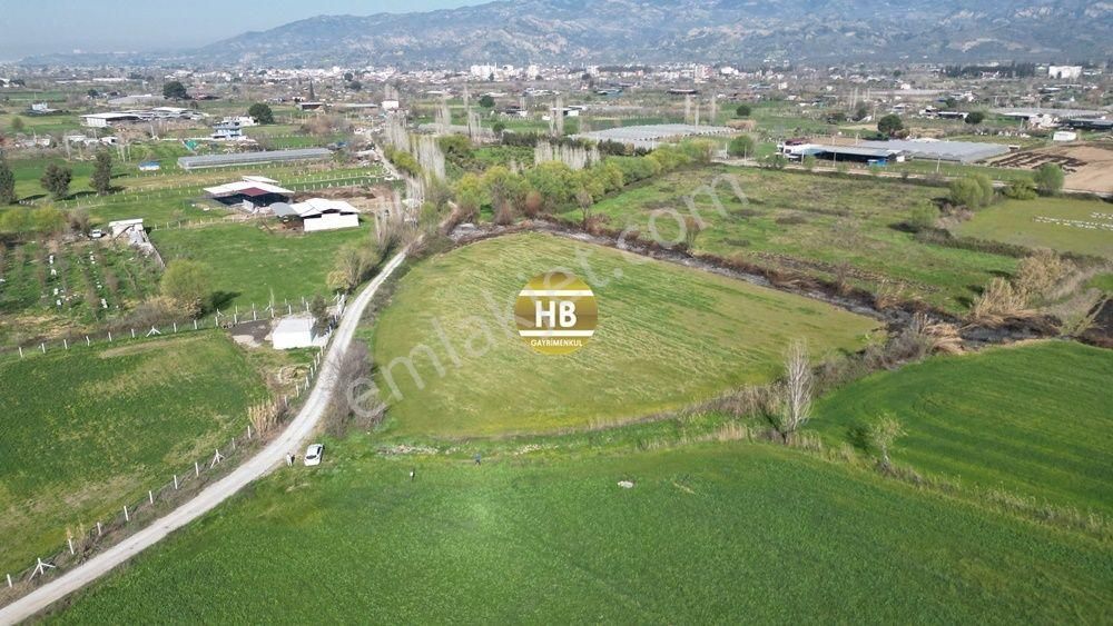 H'den Satılık Tarla, Kadastral Yol Cepheli Verimli Tarım Arazisi - Görsel 3