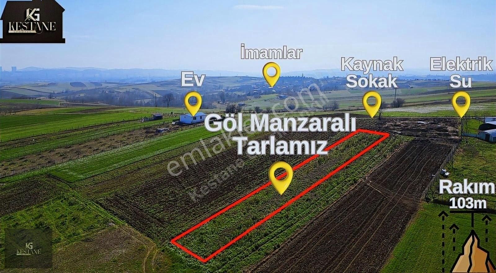 Adapazarı Karadere Satılık Tarla Göl Manzarası Olan| Elektrik Ve Suyu Bulunan Tarla