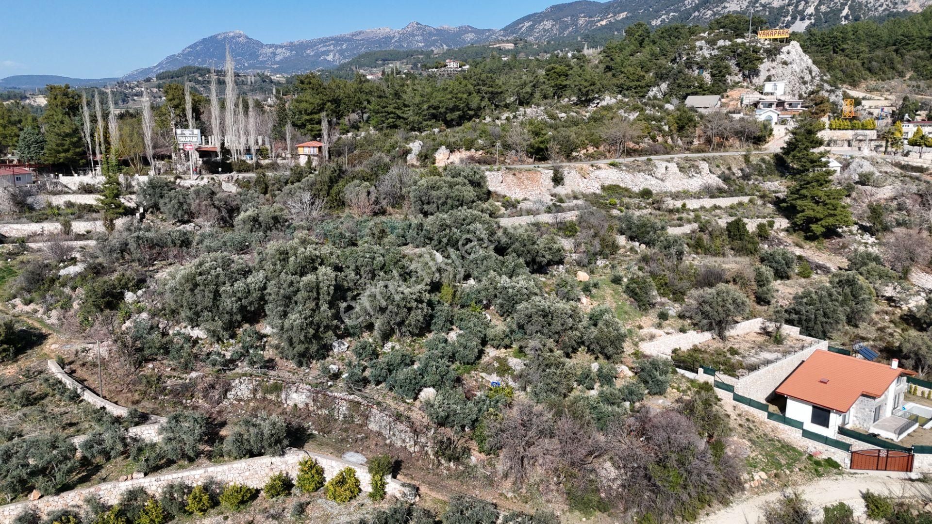 Goldhouse Dan Satılık Yatırımlık Fırsat 1799m2 - Görsel 3