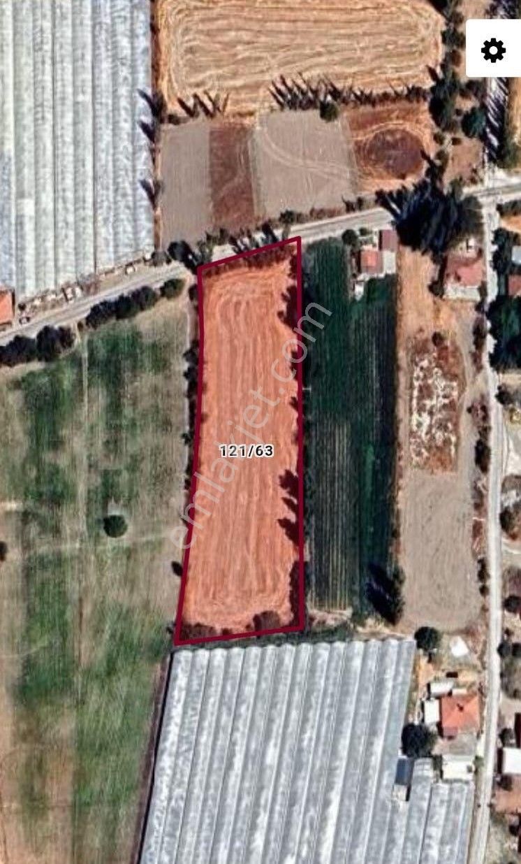 Korkuteli Kızılaliler Köyü 'nde Müstakil Fırsat Tarla - Görsel 2