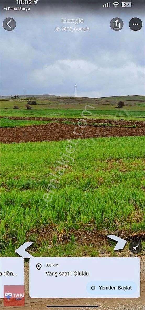 Söğüt Oluklu Köyü Satılık Tarla Bilecik Söğüt Oluklu 10,202 M2 Satılık Tarla