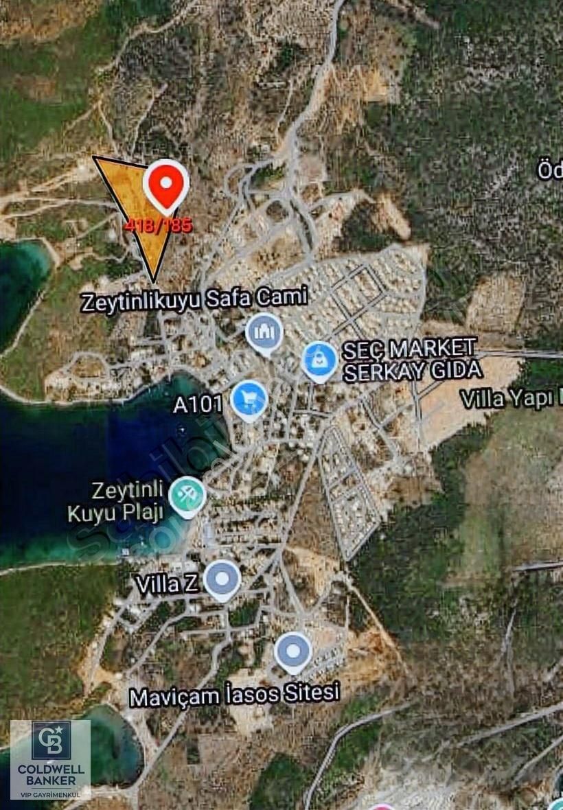 Milas Kıyıkışlacık Satılık Zeytinlik Muğla Milas'ta 170 M2 Satılık Zeytinlik