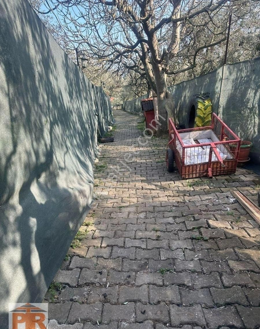 Pir Emlaktan Büyük Kumlada Satılık Müstakil Bahçeli Ev - Görsel 16