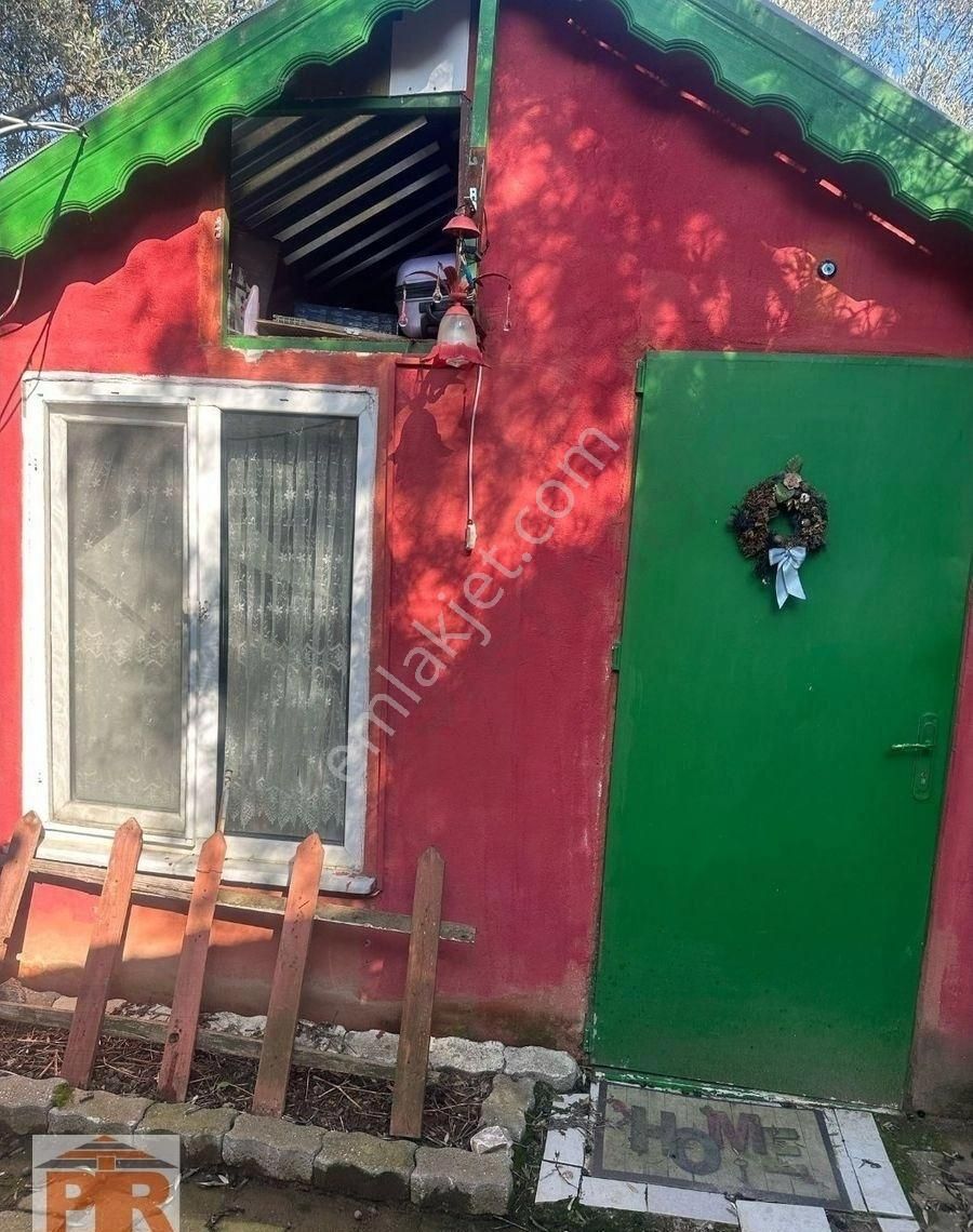 Pir Emlaktan Büyük Kumlada Satılık Müstakil Bahçeli Ev - Görsel 35