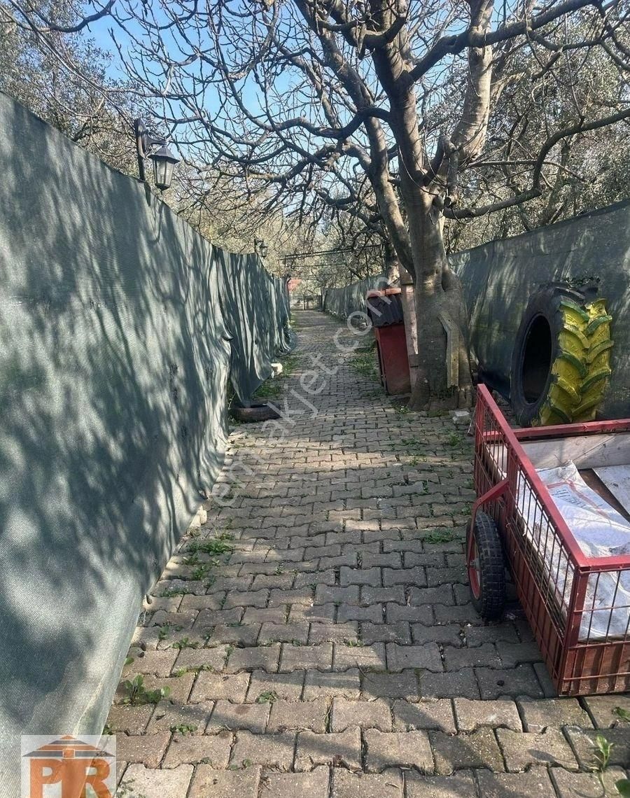 Pir Emlaktan Büyük Kumlada Satılık Müstakil Bahçeli Ev - Görsel 2