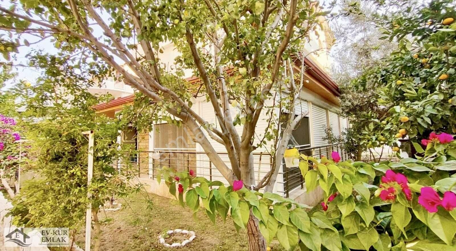 Kuşadası Davutlar Satılık Villa Kuşadası Davutlar'da Denize 500mt Havuzlu 5+1 Tripleks Villa