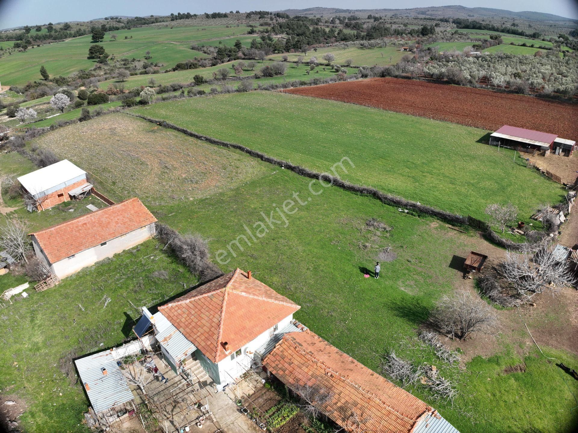 Çanakkale Ezine Güllüce Köy İçi İmarlı Arsa - Görsel 4