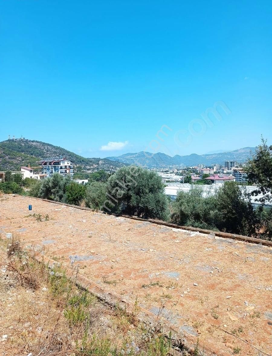 Gazipaşa Satılık Satılık Arsa Cumhuriyet Cebeli - Görsel 5