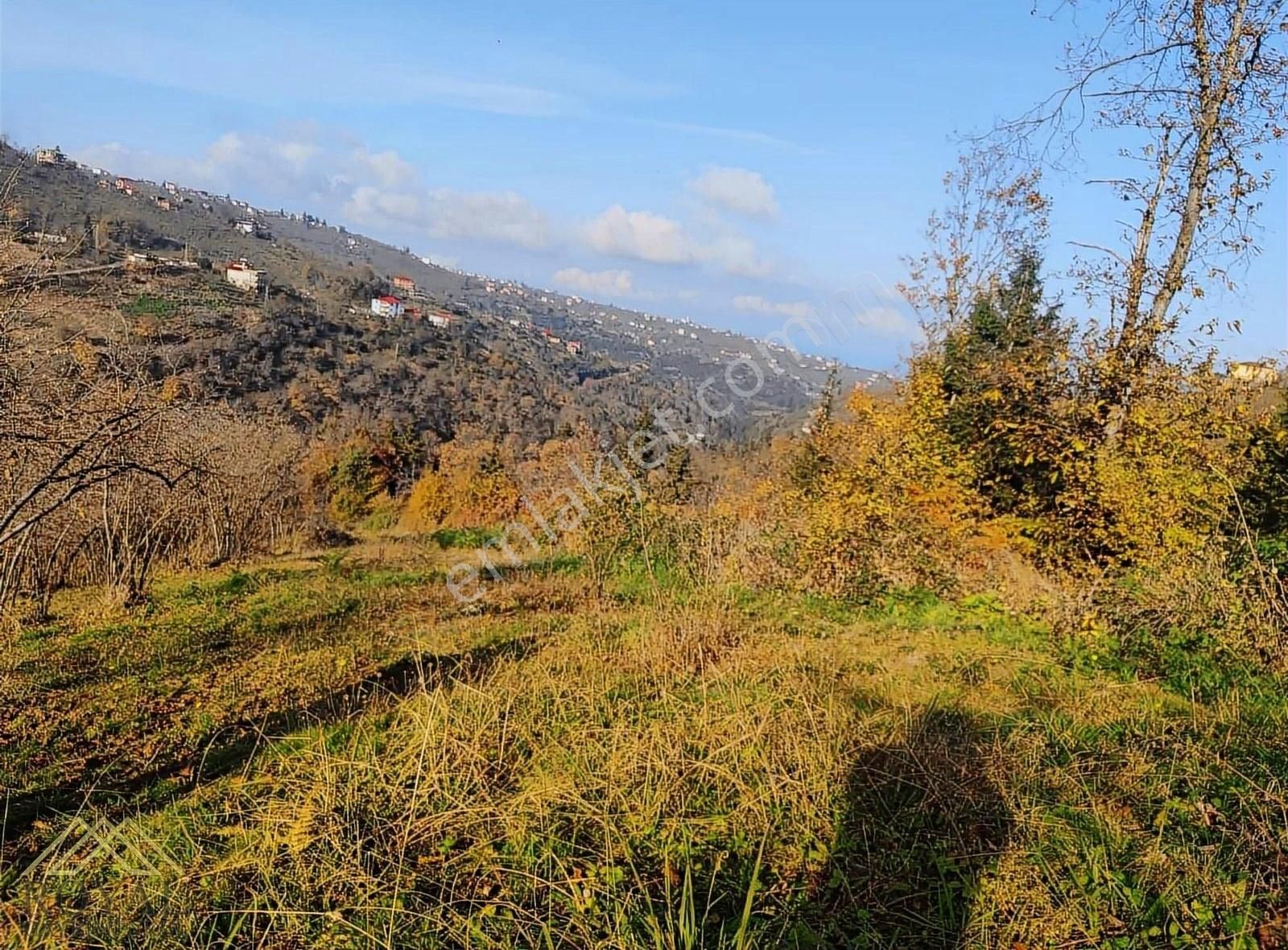 Yomra Kaşüstü Satılık Tarla Trabzon Yomra Kaşüstü Fırsat Bungalov Projesine Uygun Arsa