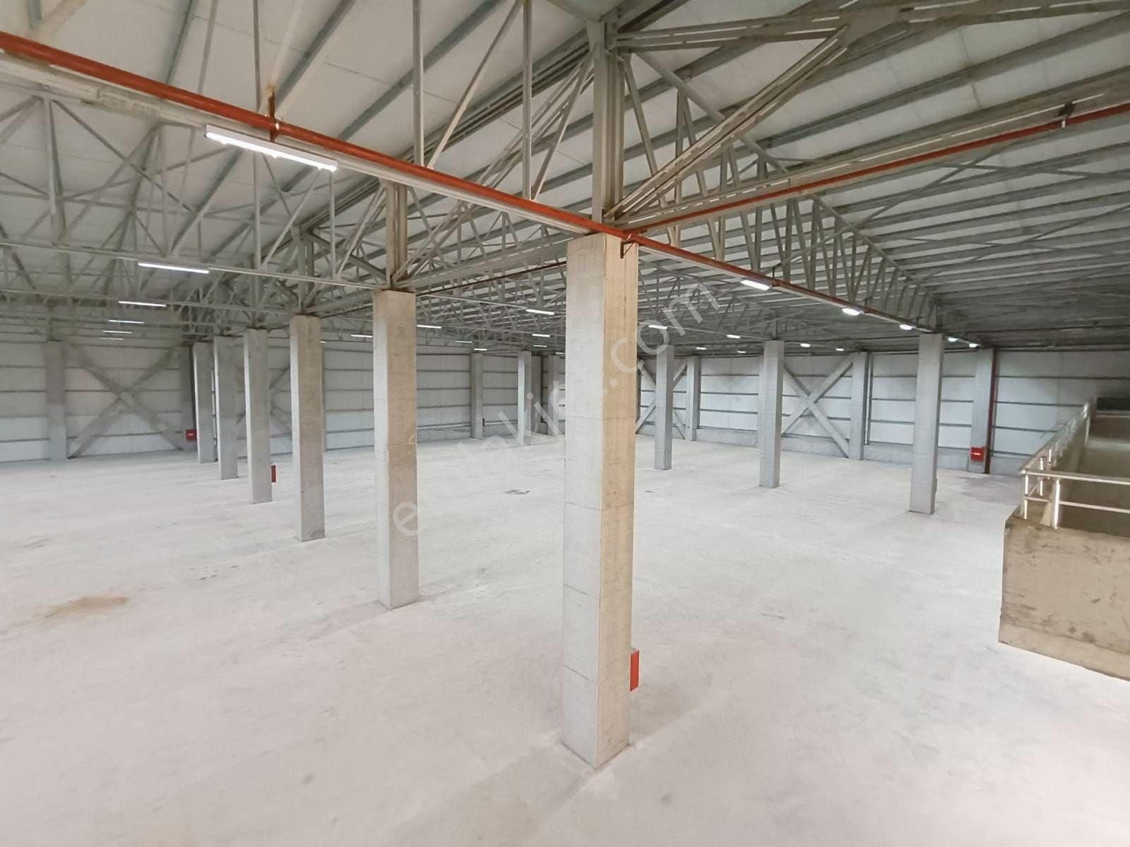 Düzce Merkez Beyköy Bld. (Cumhuriyet OSB 2) Satılık Fabrika Düzce Osb 13850m2 Satılık Fabrika