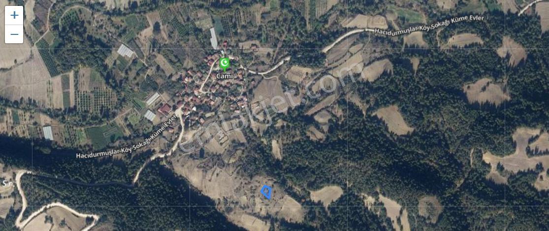 Bilecik Gölpazarı Köprüçek Köyünde 569 Metre Arsa. - Görsel 4