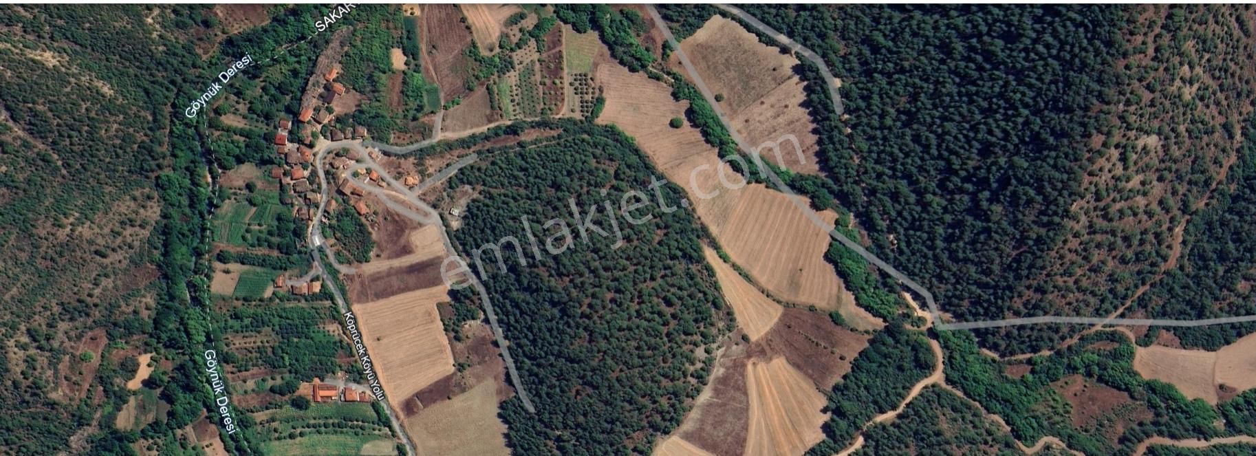 Gölpazarı Köprücek Köyü (Merkez) Satılık Özel Kullanım Bilecik Gölpazarı Köprüçek Köyünde 569 Metre Arsa.