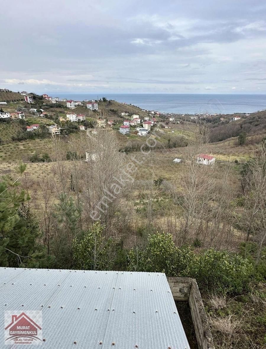 Akçaabat Darıca Satılık Tarla Akçaabat Darıca Mahallesinde Deniz Manzaralı Arsa