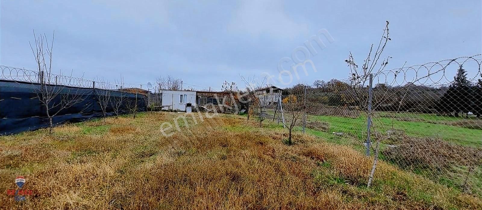 Şile Sortullu Satılık Tarla Şile Sortullu Köyü' Nde 1035 M2 Satılık Tarla