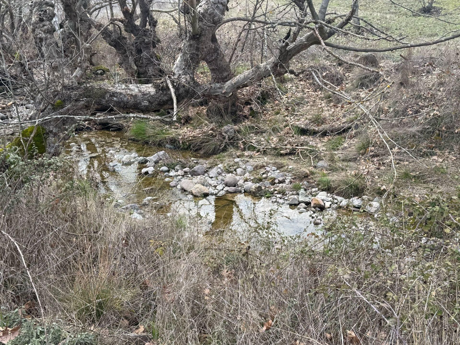 Yunusemre Çamlıca Satılık Tarla Manisa Yunusemre Çamlıca Mahallesi'nde Dere Kenarında 1 Dönüm Arsa