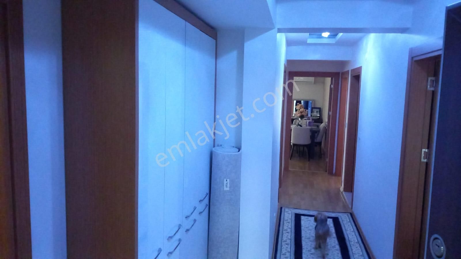 Öğretmen Emlaktan Kemalpaşada Geniş Aile İçin 3+1 Daire