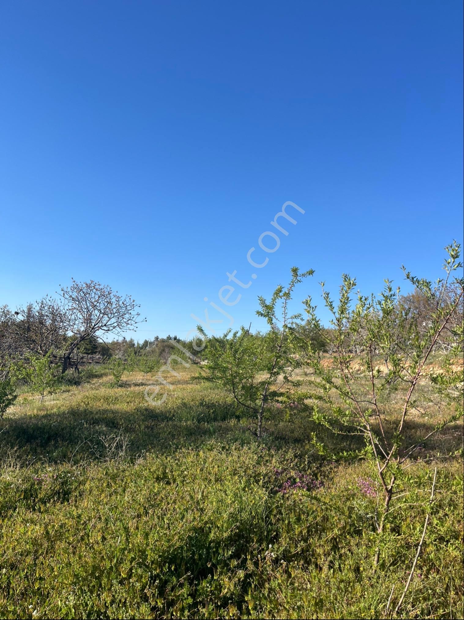 Türe Gayrimenkulden Silifke Çaltıbazkır Yeni Çıktıda Satılık Bahçe - Görsel 14