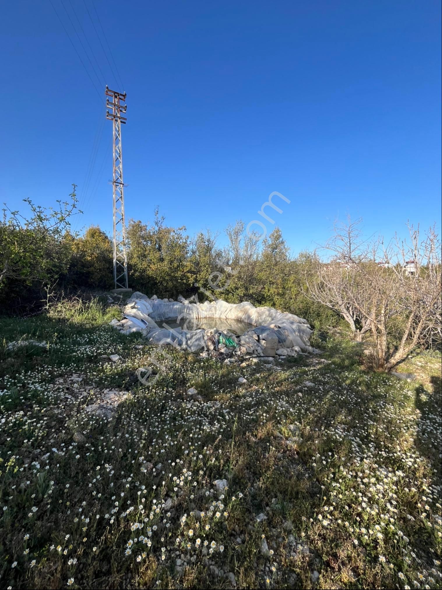 Türe Gayrimenkulden Silifke Çaltıbazkır Yeni Çıktıda Satılık Bahçe - Görsel 3