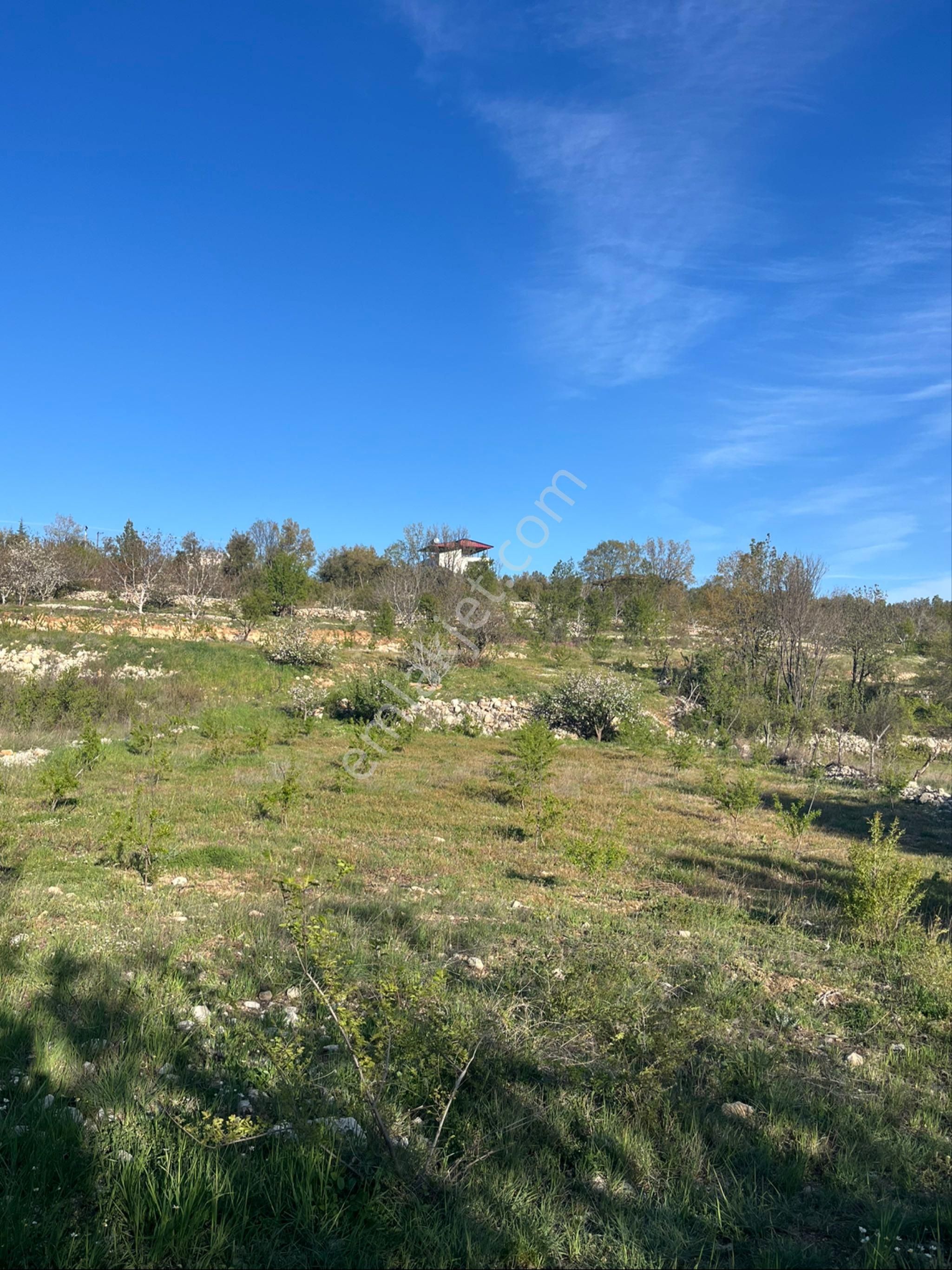 Türe Gayrimenkulden Silifke Çaltıbazkır Yeni Çıktıda Satılık Bahçe - Görsel 12