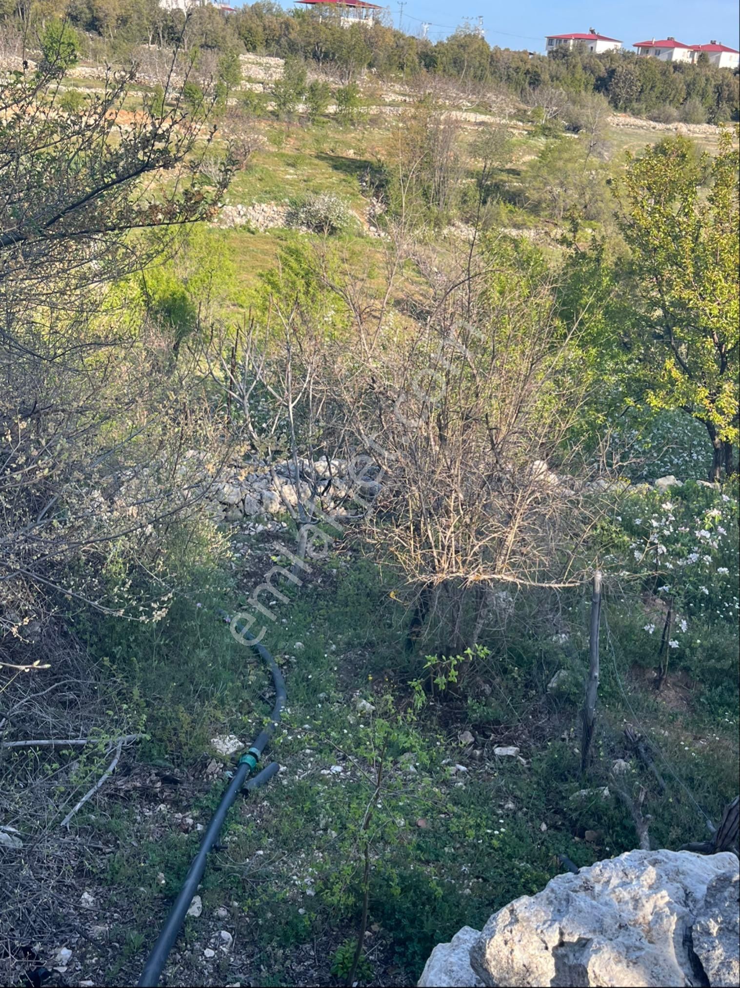 Türe Gayrimenkulden Silifke Çaltıbazkır Yeni Çıktıda Satılık Bahçe - Görsel 4