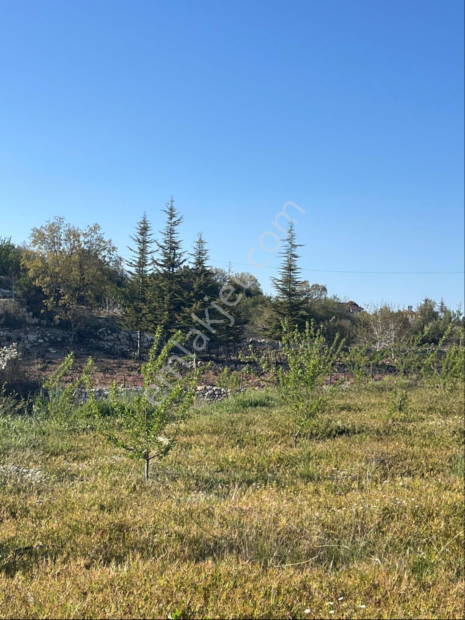 Türe Gayrimenkulden Silifke Çaltıbazkır Yeni Çıktıda Satılık Bahçe - Görsel 13