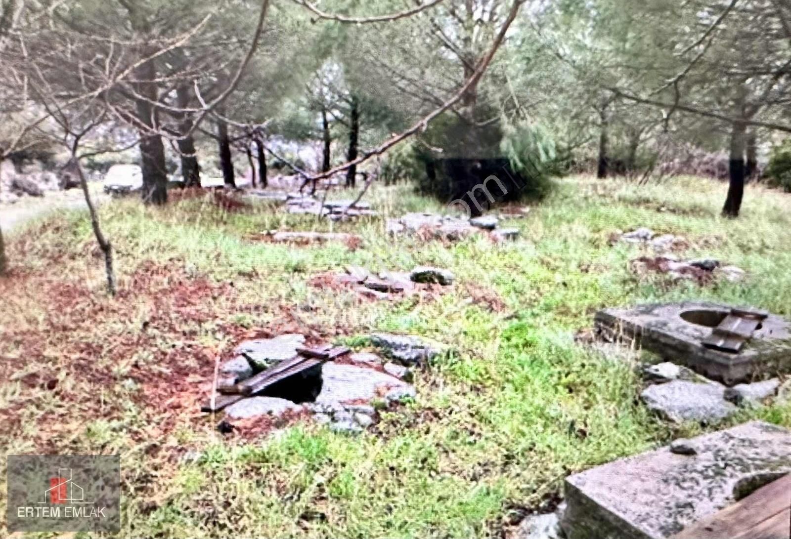 Yunusemre Karahüseyinli Satılık Tarla Manisa Yunusemre Satılık Arazi Köy Ve Asfalt Yanı