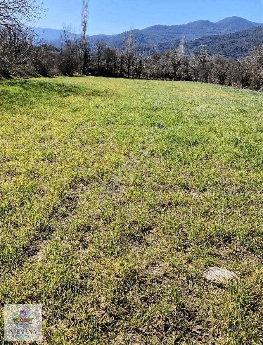 Karacasu Yenicede Sulu Verimli Bahçe 2442 M2 - Görsel 5