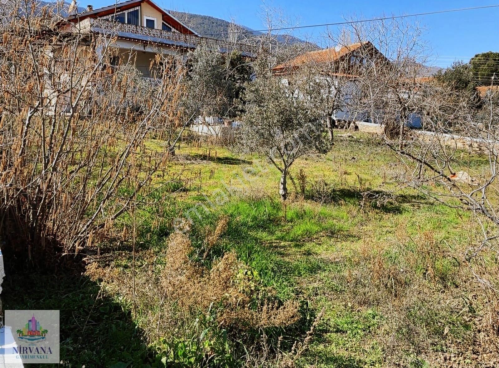 Karacasu Küçükdağlı Satılık Müstakil Ev Karacasu Yaylası Geniş Bahçeli Satılık Dubleks Ev