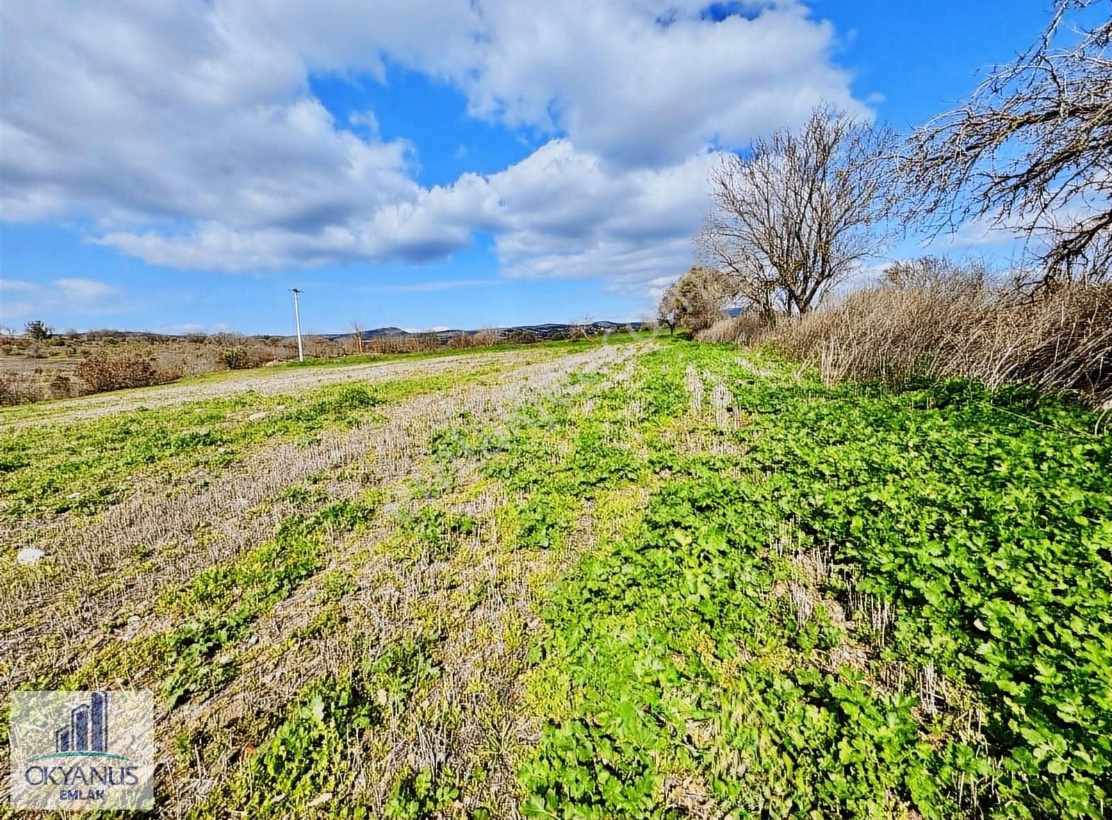 Yunusemre Gülbahçe Satılık Tarla Gülbahçe- Bağyolu Asfaltının 1 Parsel Gerisinde . 7.000 M2 Tarla