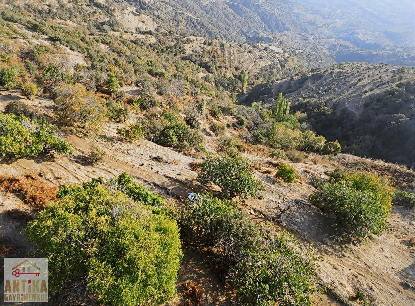 Ödemiş Kutlubeyler Satılık Bağ & Bahçe Antika Gayrimenkul'den Kutlubeyler Mah. Satılık Meyve Bahçesi