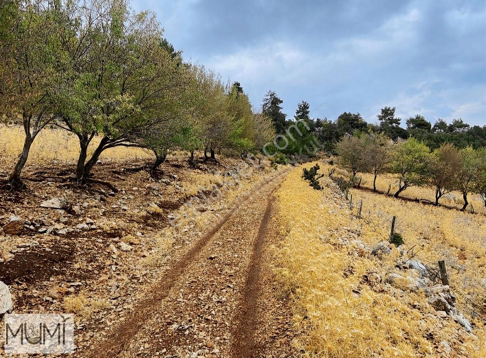 Kaş Kemer Satılık Tarla Kaş Kemer Gömüce Mahallesinde Yatırımlık Tarla