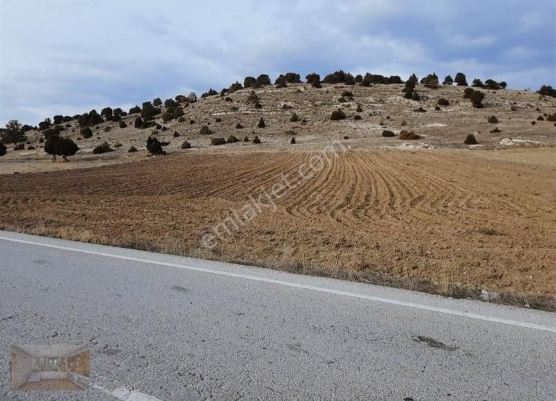 Kütahya Merkez İhsaniye Köyü Satılık Tarla İhsaniye Köyü'nde Satılık Asfalta Cephe 2831 M2 Tarla