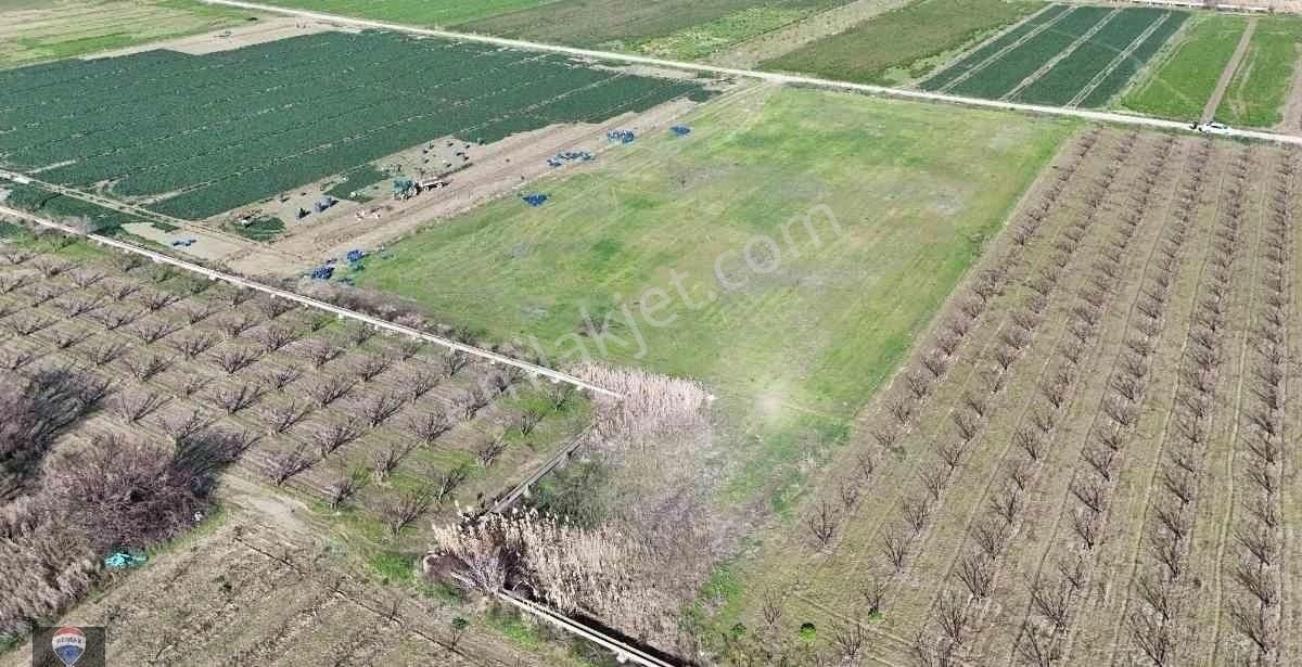İzmır Menemen Yanıkköy Ün Verimli Topraklarında 8527 M2 Satılık Tarla - Görsel 6