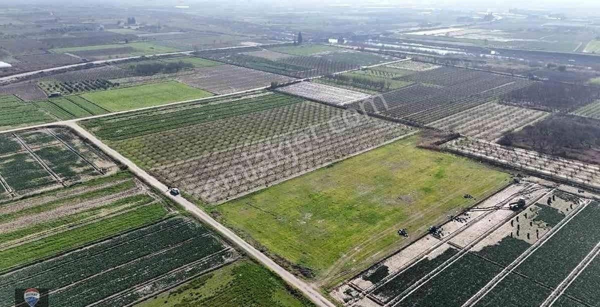 İzmır Menemen Yanıkköy Ün Verimli Topraklarında 8527 M2 Satılık Tarla - Görsel 14