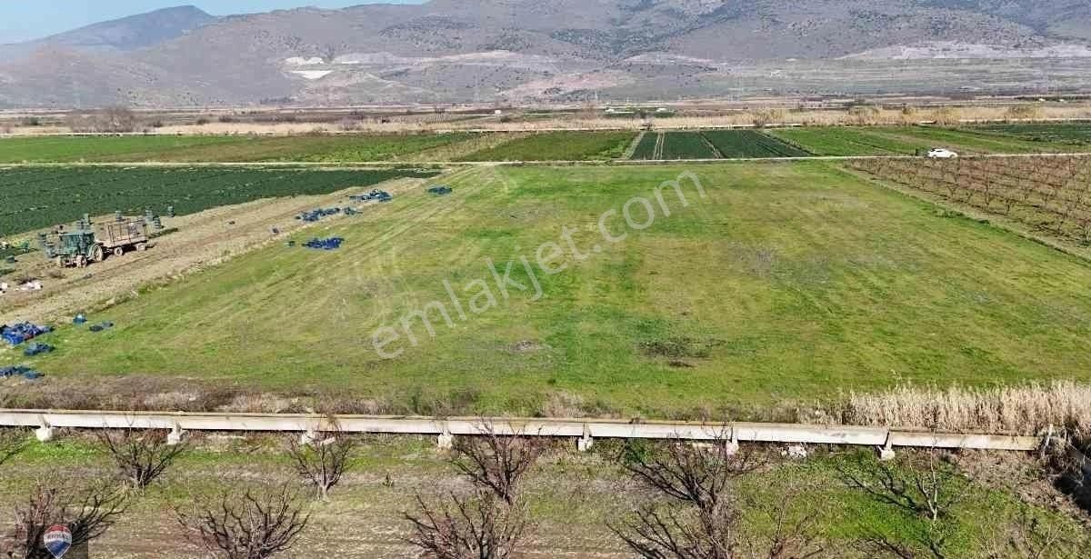 İzmır Menemen Yanıkköy Ün Verimli Topraklarında 8527 M2 Satılık Tarla - Görsel 3