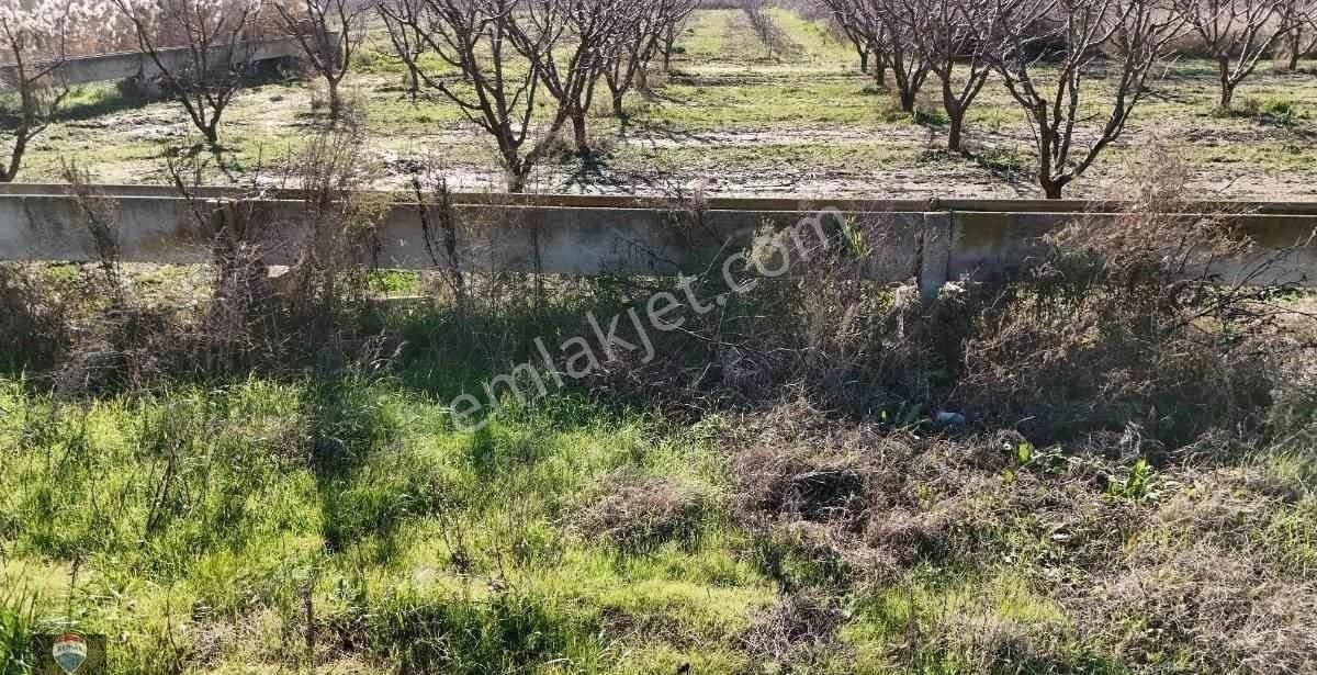İzmır Menemen Yanıkköy Ün Verimli Topraklarında 8527 M2 Satılık Tarla - Görsel 9