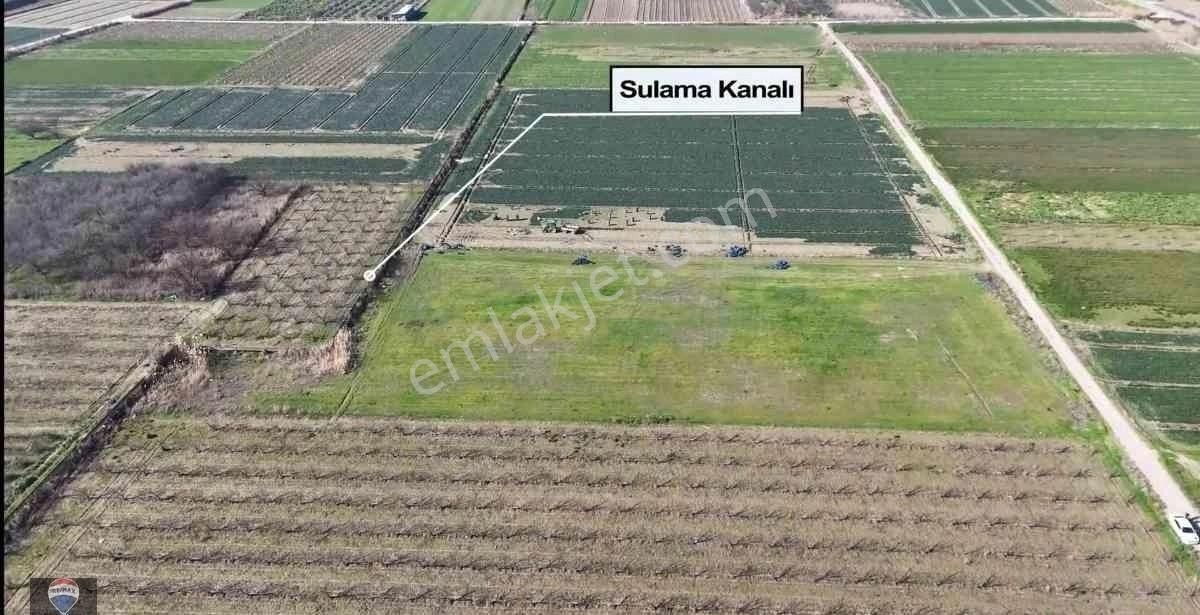 İzmır Menemen Yanıkköy Ün Verimli Topraklarında 8527 M2 Satılık Tarla - Görsel 19