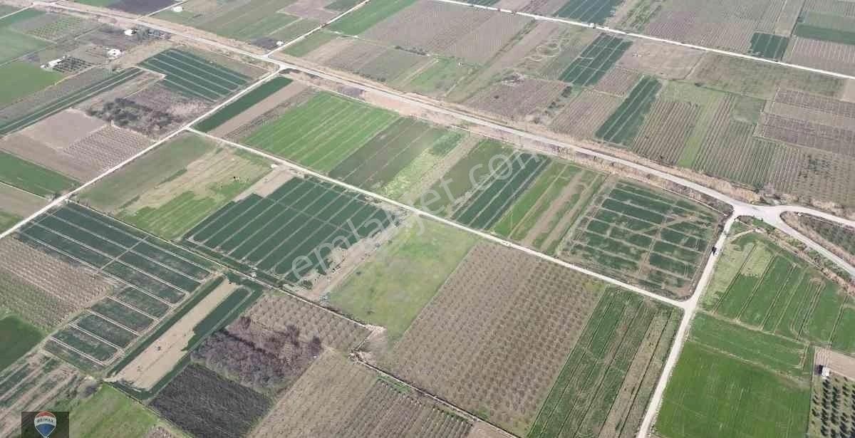 İzmır Menemen Yanıkköy Ün Verimli Topraklarında 8527 M2 Satılık Tarla - Görsel 11