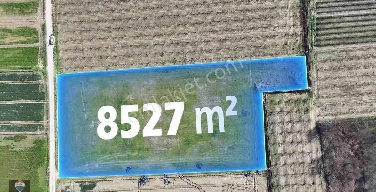 İzmır Menemen Yanıkköy Ün Verimli Topraklarında 8527 M2 Satılık Tarla - Görsel 10