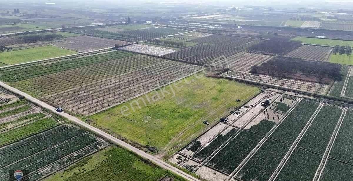 İzmır Menemen Yanıkköy Ün Verimli Topraklarında 8527 M2 Satılık Tarla - Görsel 20