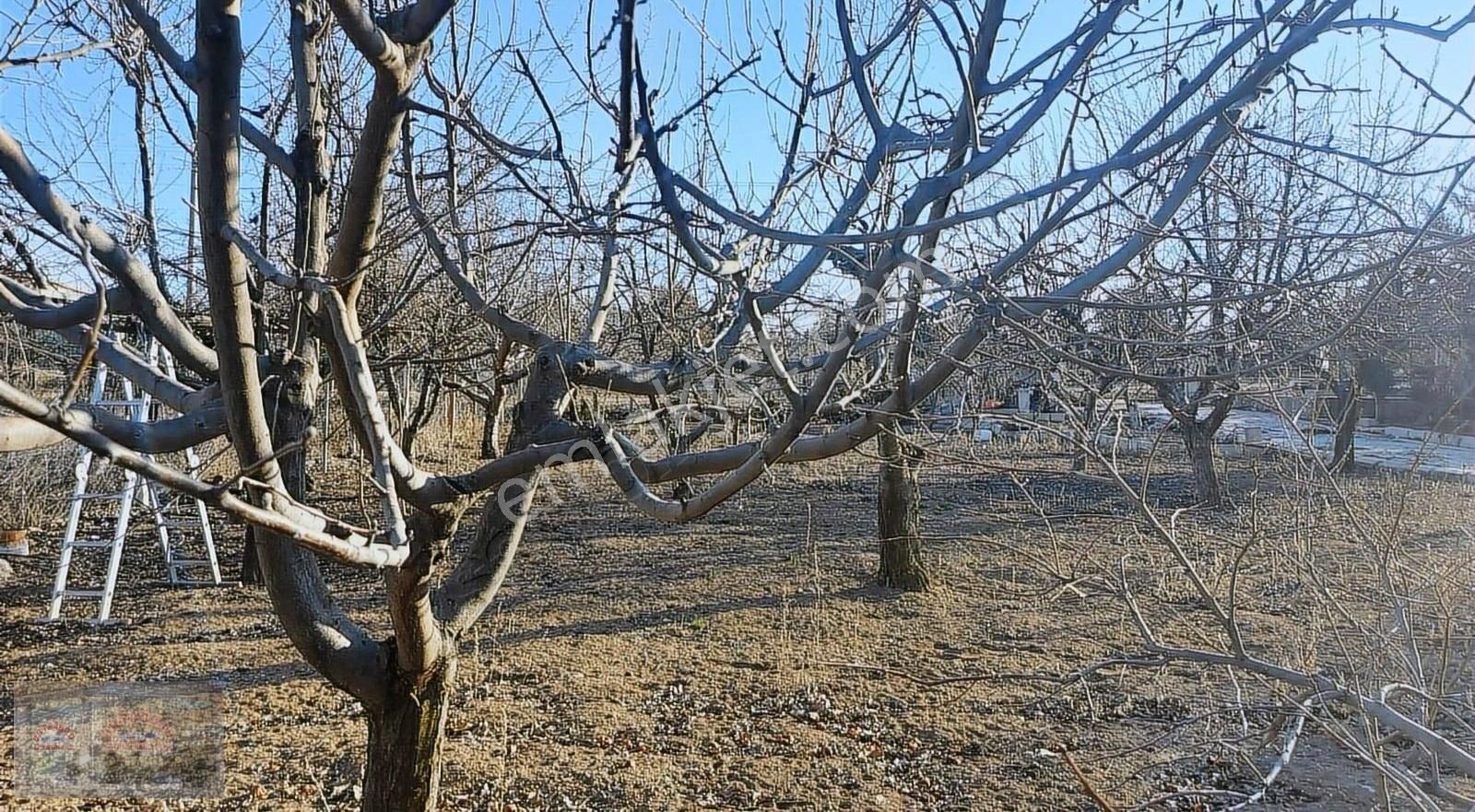 Şentepe Kır Evlerinde 1. Etapta Satılık Arsa - Görsel 5