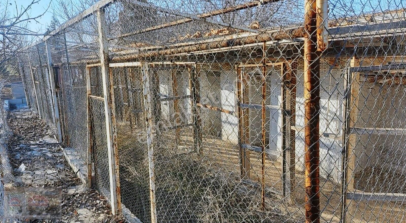 Şentepe Kır Evlerinde 1. Etapta Satılık Arsa - Görsel 7