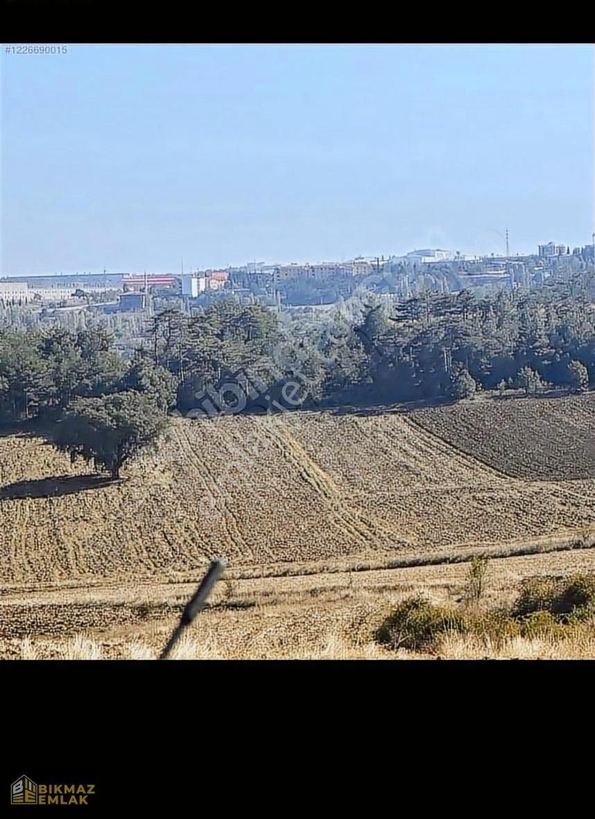 Bilecik Merkez Gülümbe Köyü (Yunuslar) Satılık Tarla Bilecik Merkez Üniversiteye Yakın Yola Cephe 8000m2 Arazi