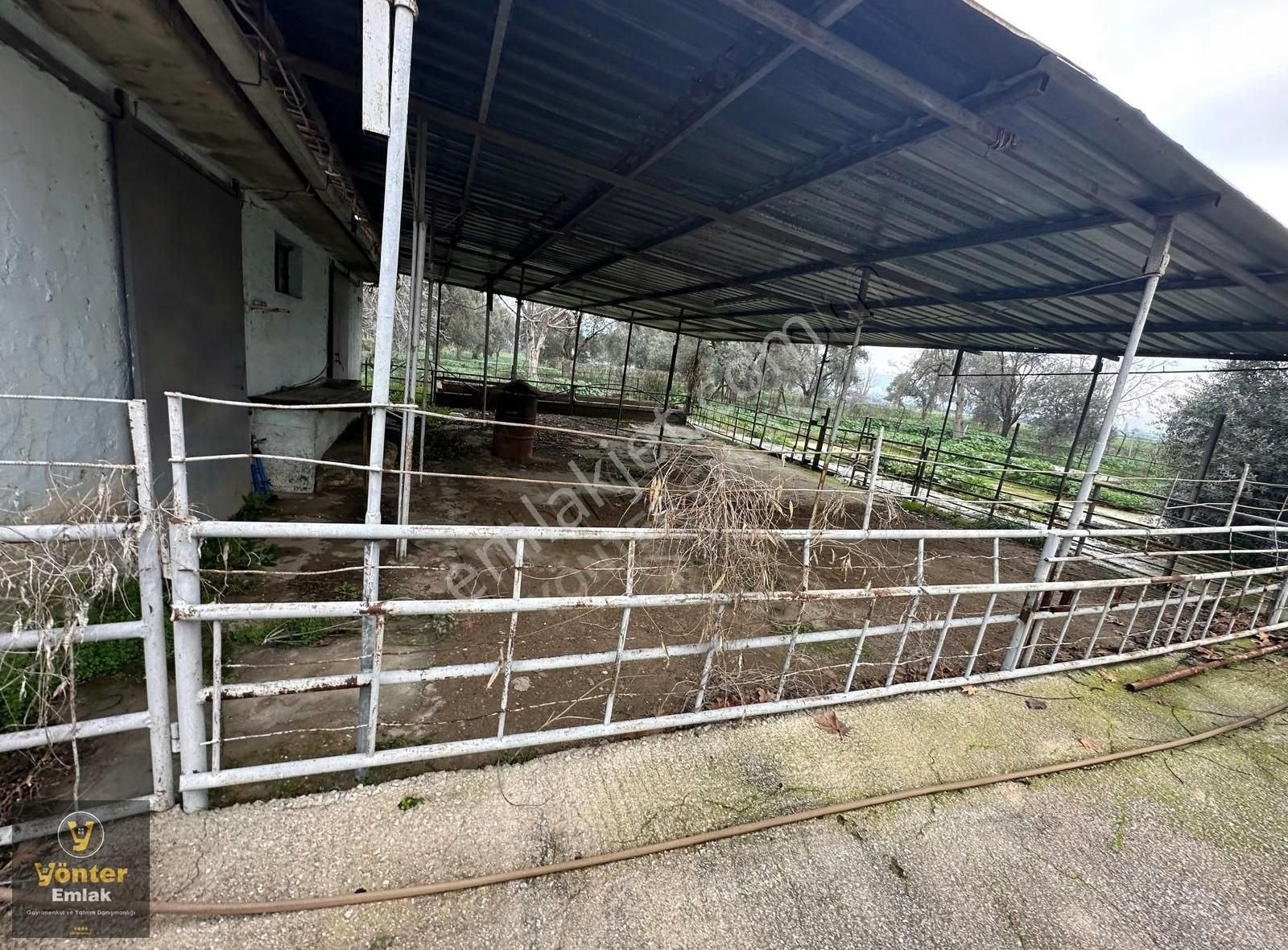 Yönter Emlaktan Tireye 3 Km Mesafede Satılık Çiftlik - Görsel 25