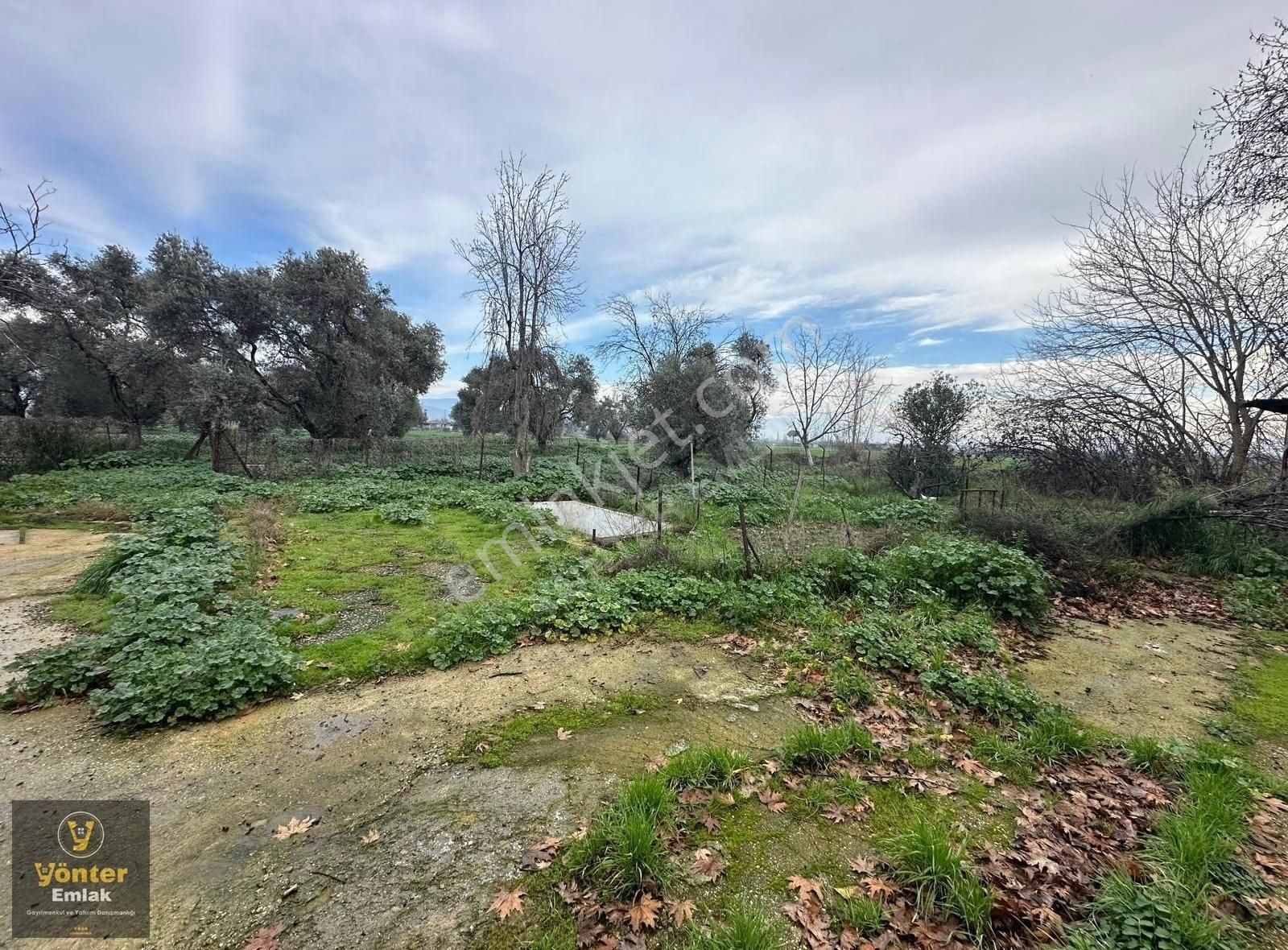Yönter Emlaktan Tireye 3 Km Mesafede Satılık Çiftlik - Görsel 3