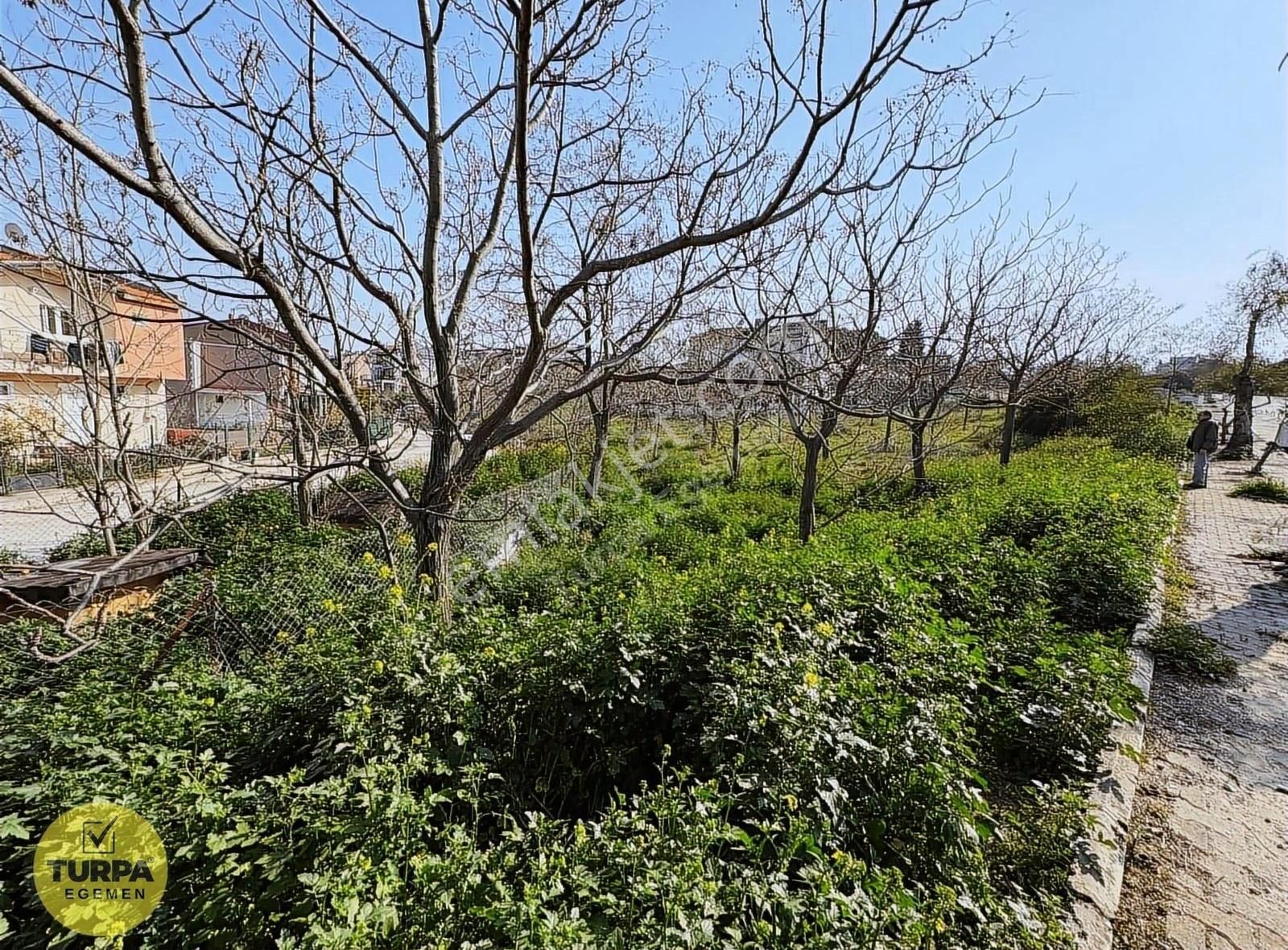 Seyrek Villakentte Kose Parsel İmarlı Arsa - Görsel 2