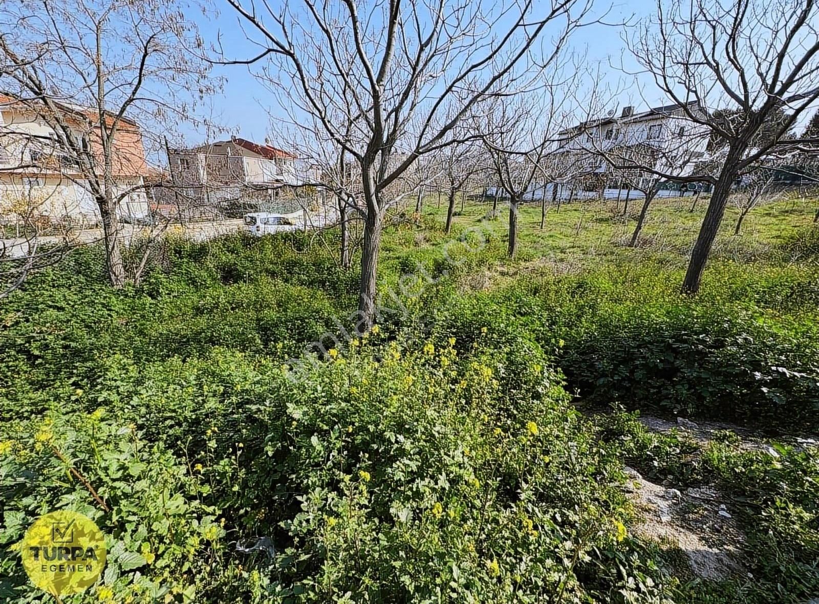 Seyrek Villakentte Kose Parsel İmarlı Arsa - Görsel 16