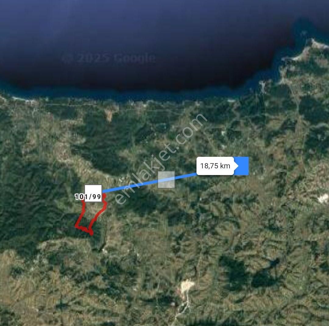 Köye Çok Yakın Yollu Çevreye Hakim - Görsel 2