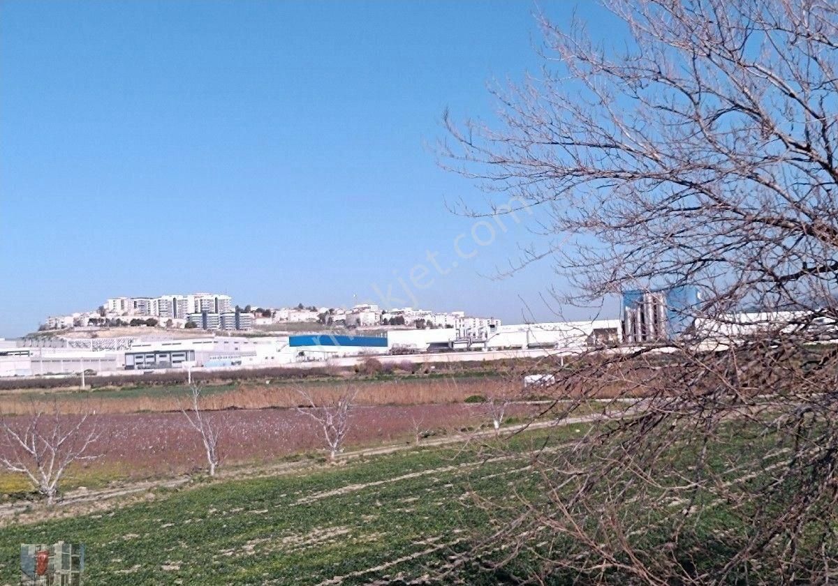 Yatırım Bölgesinde Kapalı Depo Ruhsatı Alınabilir 8512 M2 Arazi - Görsel 8