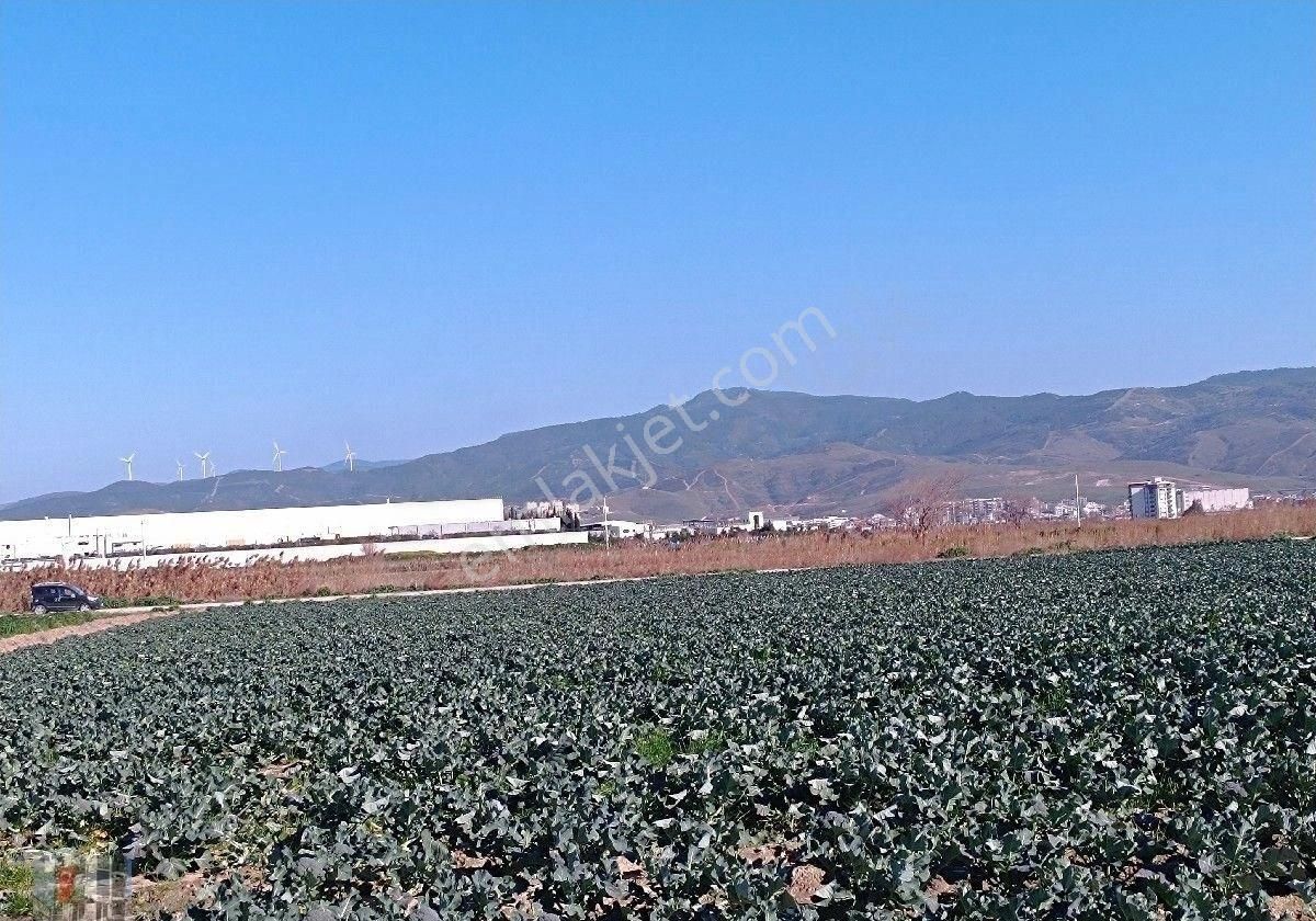 Yatırım Bölgesinde Kapalı Depo Ruhsatı Alınabilir 8512 M2 Arazi - Görsel 2